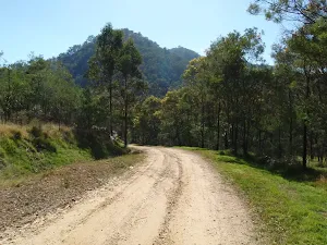 Walking through the old farm land