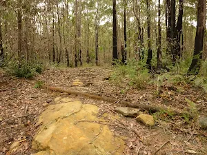 Rocky track in the Watagans