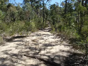 St Helena ridge trail