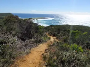 Top of Timber Beach track
