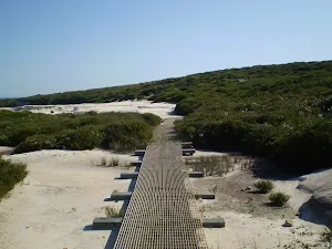 The track across the rockshelf