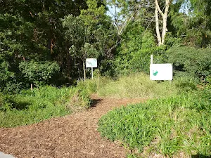 Galgabba Point walk near Marks Road