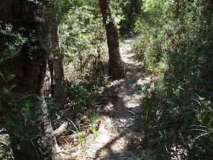Narrow section of track