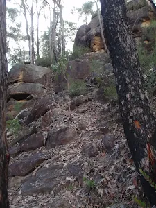 Track up to St Helenas lookout