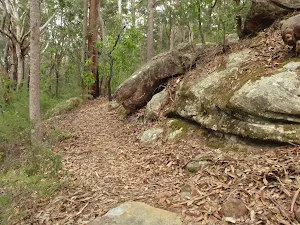Graves Walk