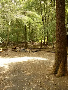 Berowra Creek campsite