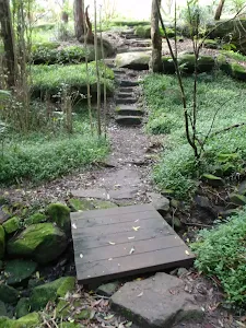 Board walk over creek