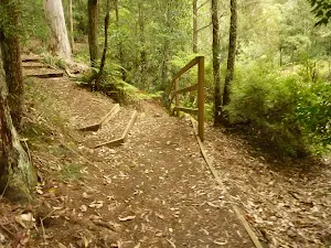 Intersection with timber steps close to Boarding House Dam in the Watagans