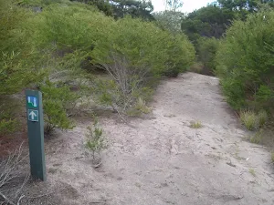 Arrow marker through the heath