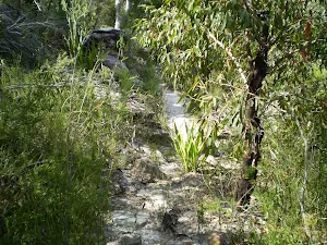 following the Bullawarring track