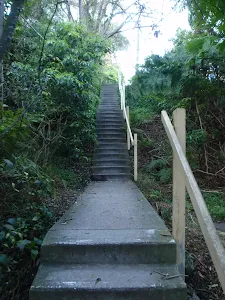 Stairs up to Ogilvy Rd