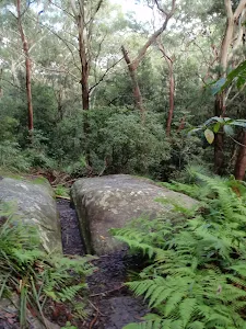 Cleft in rock