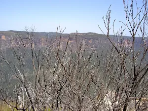 View over bush into the Grose Valley