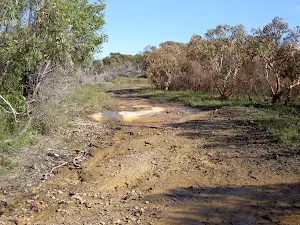 Management trail between roads