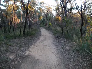 Baltzer Lookout service trail