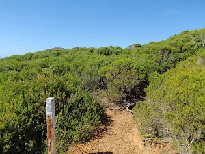 Track into the heath on Jibbon Head