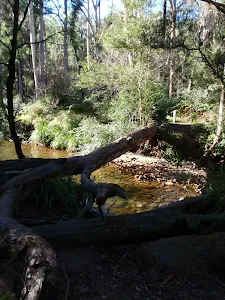 Log crossing to Lockleys Pylon
