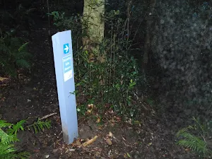 Arrow marker along track