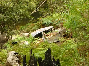 An old car that missed a turn on Galston Rd