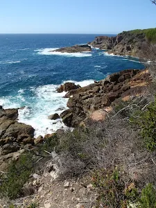 Rocky coastline below Kangarutha Track