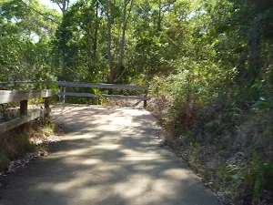 Zig Zag trail in Green Point Reserve