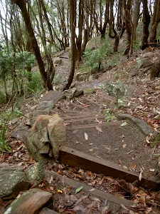 Steps on the track