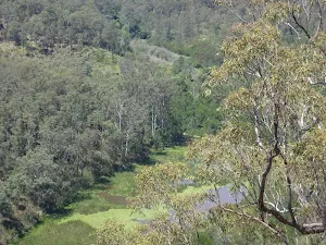 Looking down on Chaselings Run