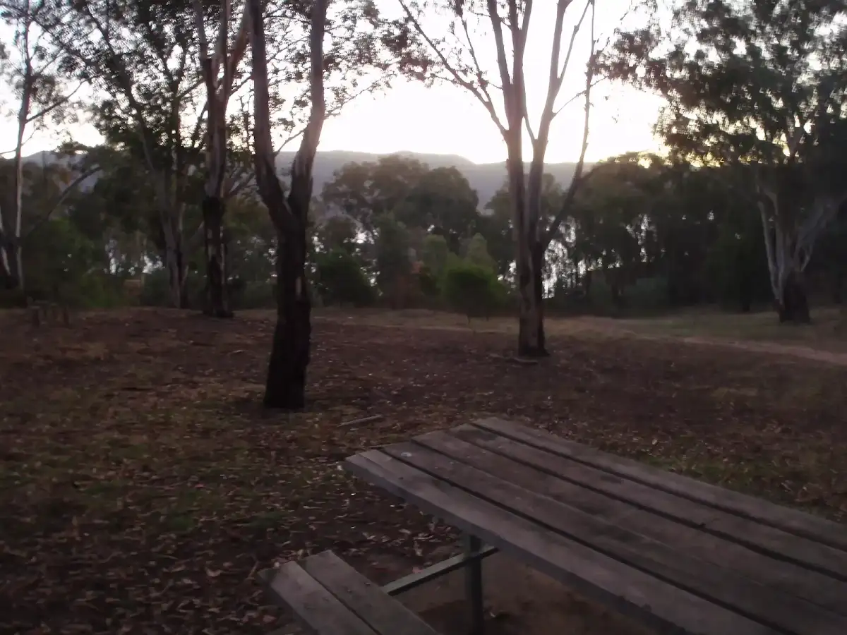 The Pines Camping Area