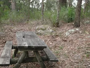 Old Picnic Table