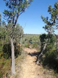 winding across the ridge tops