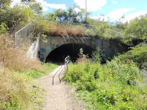 under the west Charlestown bypass