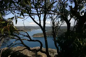 Bairne Track to Towlers Bay Lookout