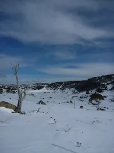Looking down Perisher Valley