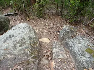 Rocky track Olney State Forest