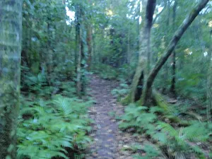 Great North Walk