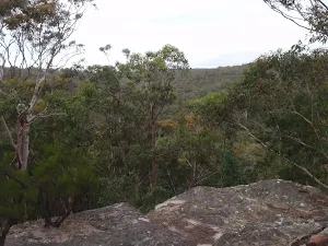 View into valley from Lawsons Lookout