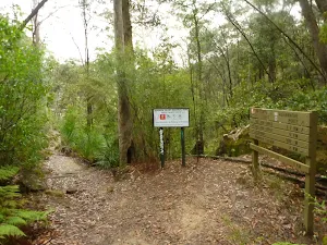 Intersectinon of the Great North Walk and Manor Rd Bushtrack