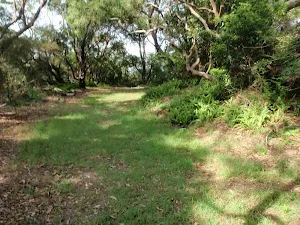 Track beside NPWS Workshop