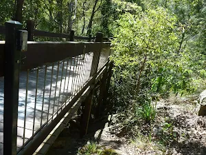 Tree top board walk