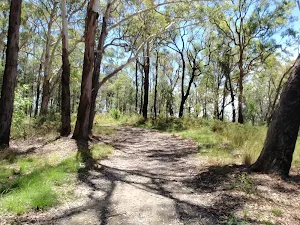 Sid Pulsford Walking Trail near the lookout