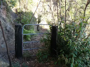 Horse Track gate