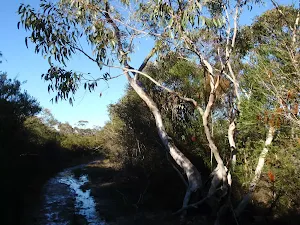 Along the Salvation Loop