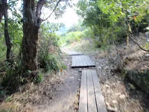 Track with some erosion control