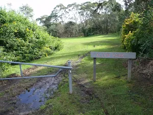 Allen Park