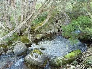 Passing the creek near the wedge