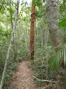 Waterman Walk