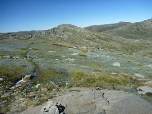 Track between Mullers Peak and Wilkinsons Creek 