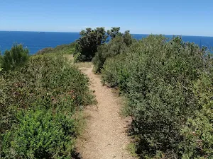 Whale watching area track