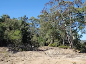 Western Commission track Dam