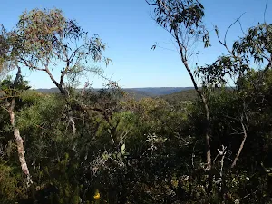 A nice view over the trees